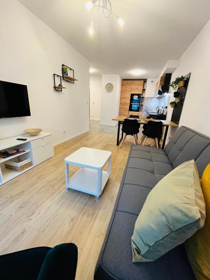 Apartament Totu *