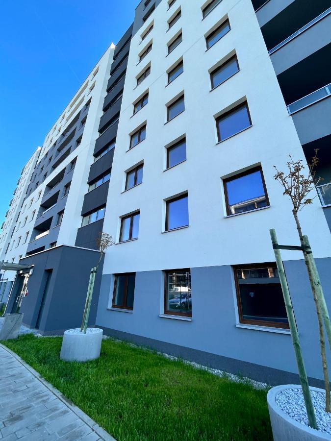 Apartament Totu *